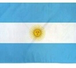 BANDERA ARGENTINA C/OJALES 90X150 MODV-00EW - VARIOS - CELESTE
